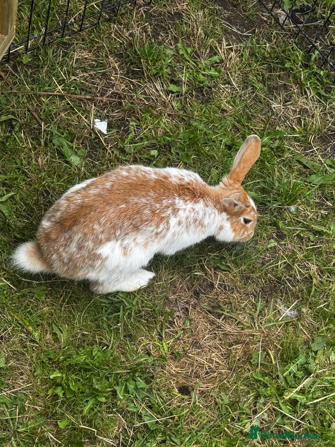 Gallery Image {{count}}