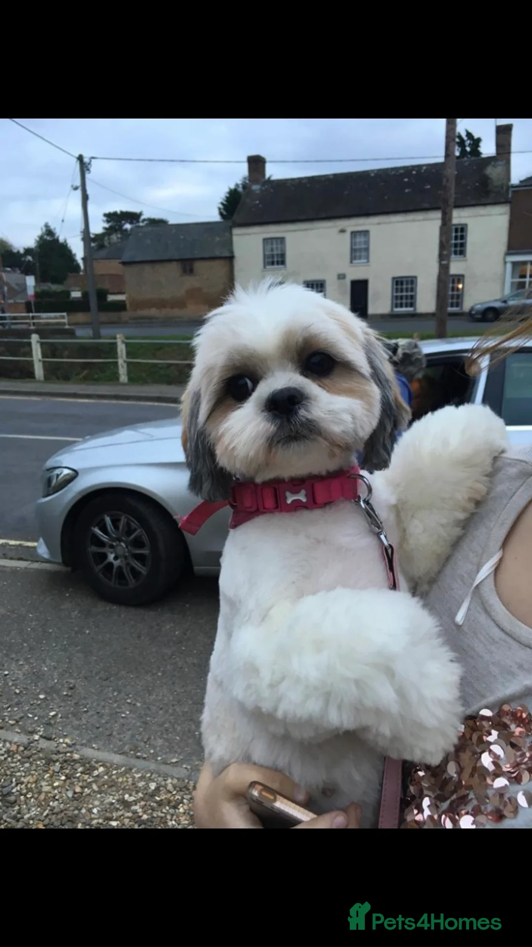 Gallery Image {{count}}