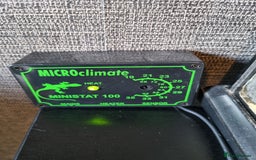 Gecko reptiles for sale: Leopard Gecko for sale - Advert 6