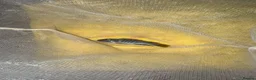 Cichlids fish for sale: Mix of cichlid fish. Mixed sizes  - Advert 7