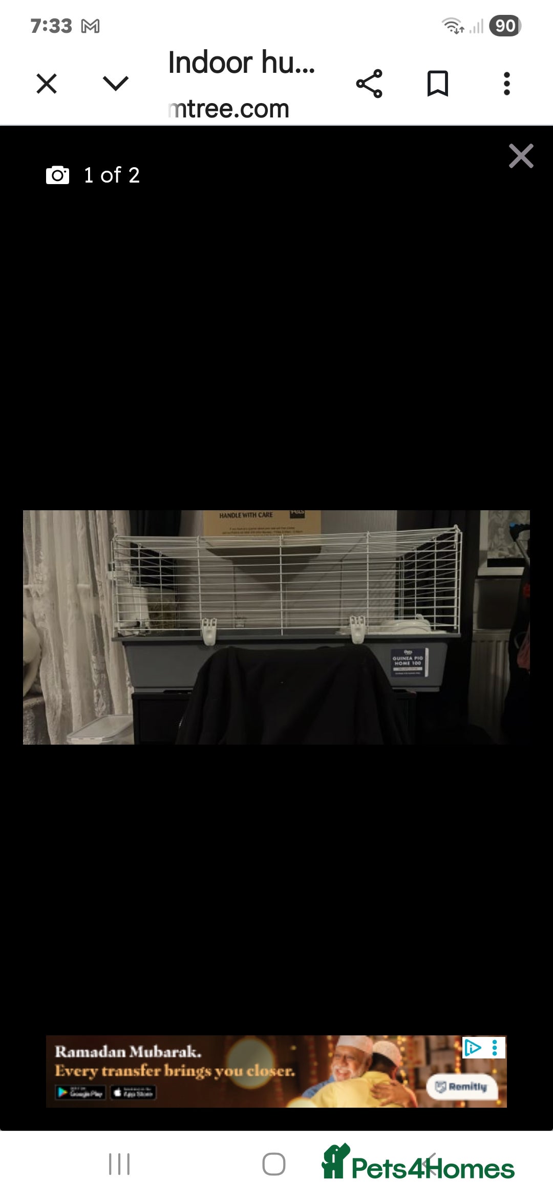 Guinea Pig rodents BOTH MALES DWARF RABBIT & TOO PIGS - Advert 10