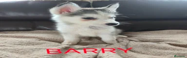 Barry
