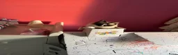 Ragdoll cats for sale: Ragdoll - Maggie in Middlesbrough - Advert 9