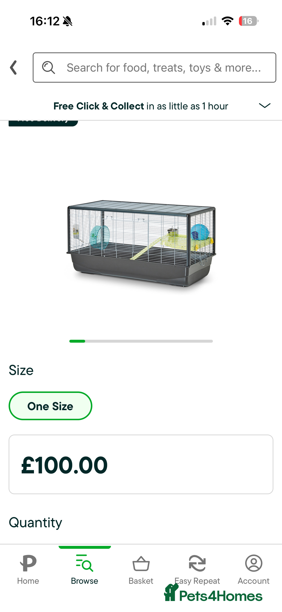 Hamster rodents for sale: Friendly male Syrian & brand new Savic plaza cage - Advert 6