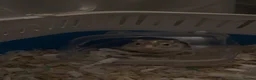 Gerbil rodents for sale: Male gerbil free too a good home - Advert 3