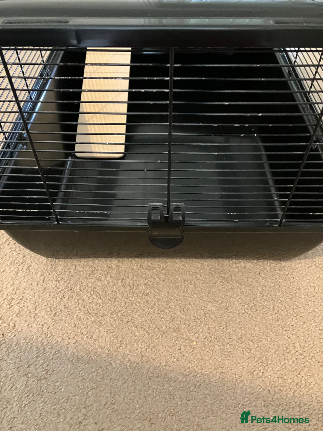 Hamster rodents for sale: Hamster cage in Leeds - Advert 7