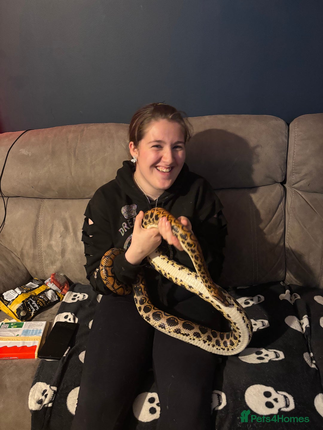 Boa Snake reptiles for sale: Brazillion rainbow boa  - Advert 3