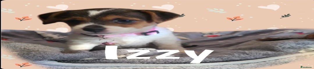 IZZY