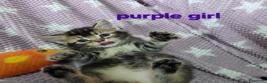  4 Purple girl 