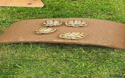 Hermann Tortoise reptiles for sale: 5 Spur Thighed Tortoises  - Image 18