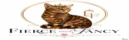 Bengal cats for sale: TICA Registered Bengal Kittens - Advert 16