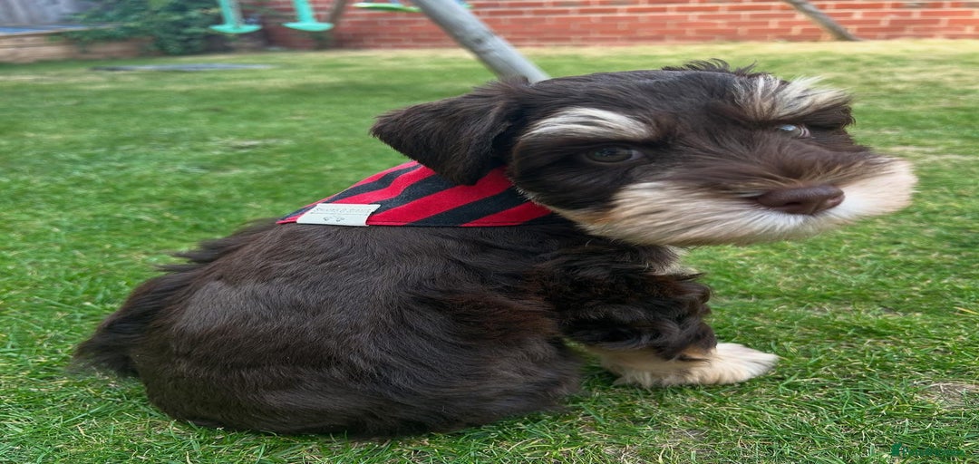 Gallery Image {{count}}