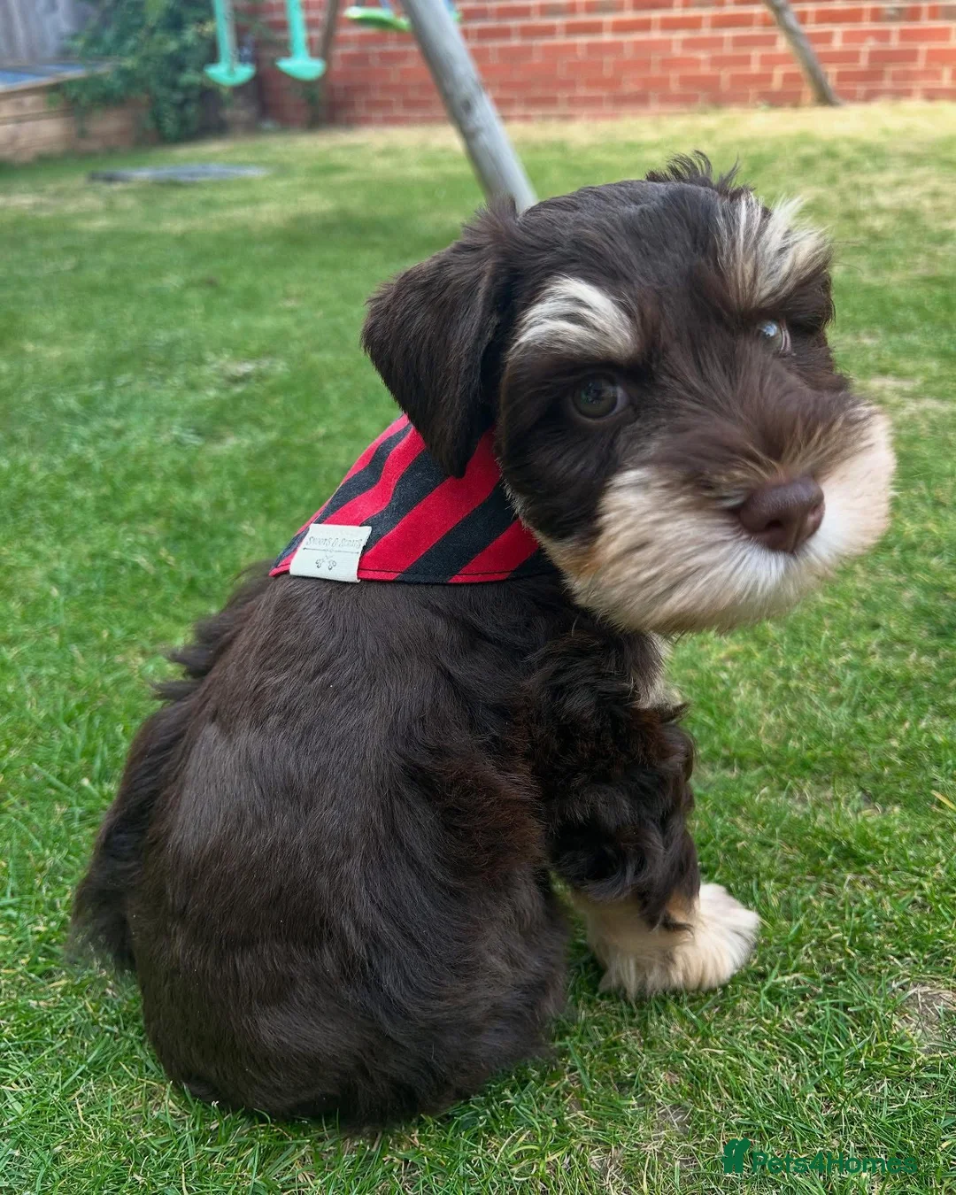 Gallery Image {{count}}