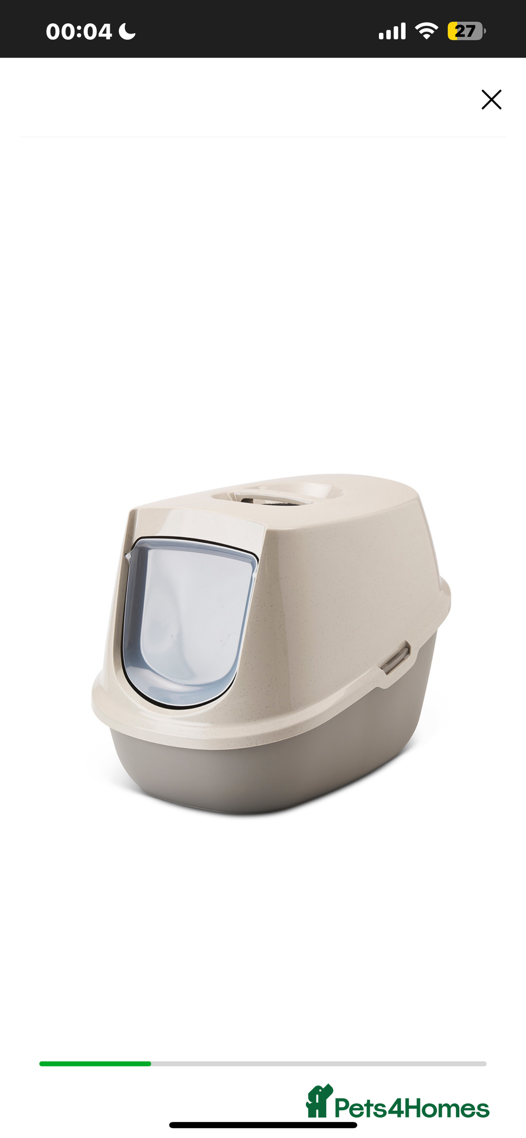 Domestic Shorthair cats for sale: Domestic short hair! - Advert 6