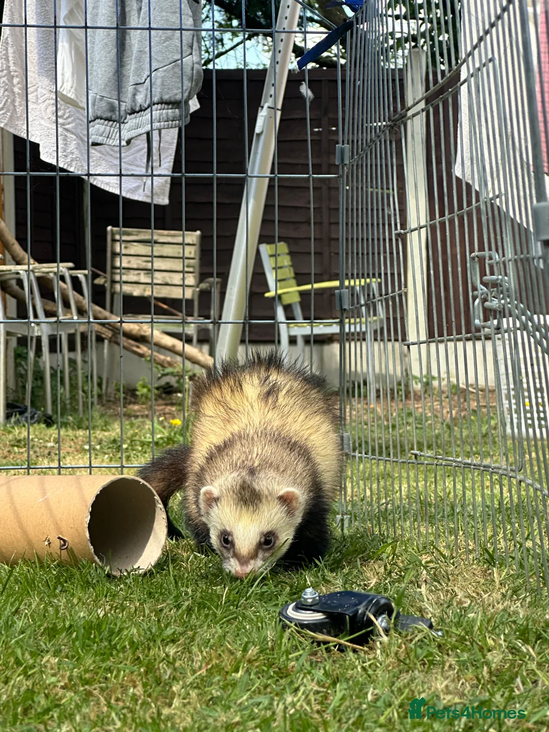 Gallery Image {{count}}