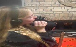 German Shepherd dogs for sale: German shepherd puppies  - Image 16