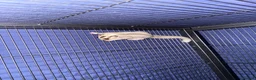 Sugar Glider rodents for sale: Female Sugar gliders with cage - Advert 3