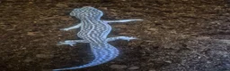 Mixed Breed reptiles for sale: Ball python for sale and Leopard Geckos  - Advert 1