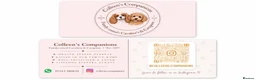 Cavapoo dogs for sale: WAITING LIST F1cavspoos ExtensivelyHealthTested  - Advert 7