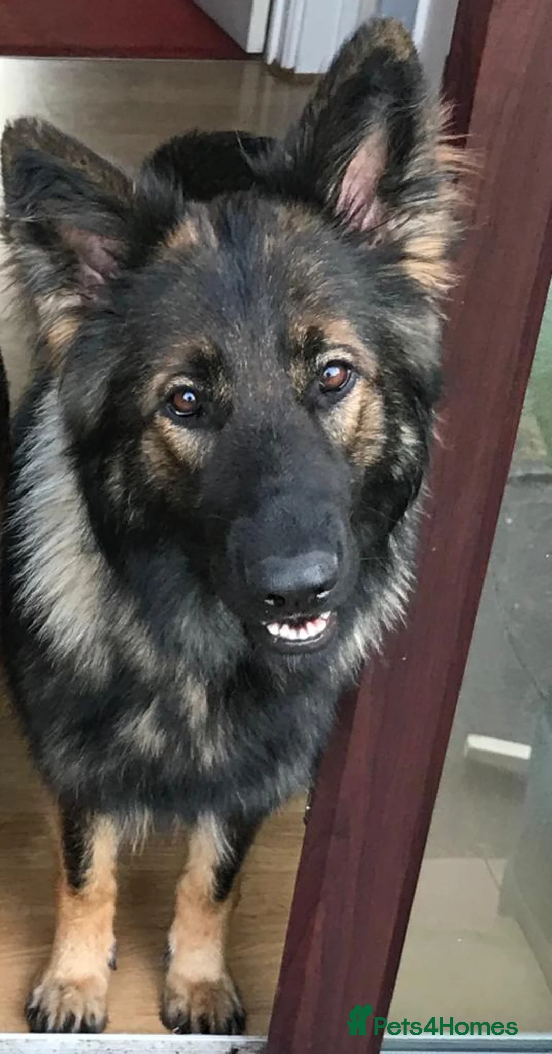 Gallery Image {{count}}