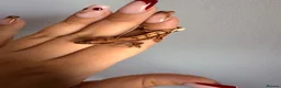 Gecko reptiles for sale: Baby crested gecko’s  - Advert 19