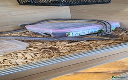 Corn Snake reptiles for sale: 2 corn snakes and vivaruims, complete set up. - Image 3