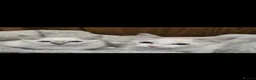 Ragdoll cats for sale: 4 Stunning Ragdoll Kittens  in Basildon - Advert 5