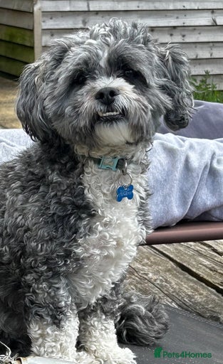 Gallery Image {{count}}