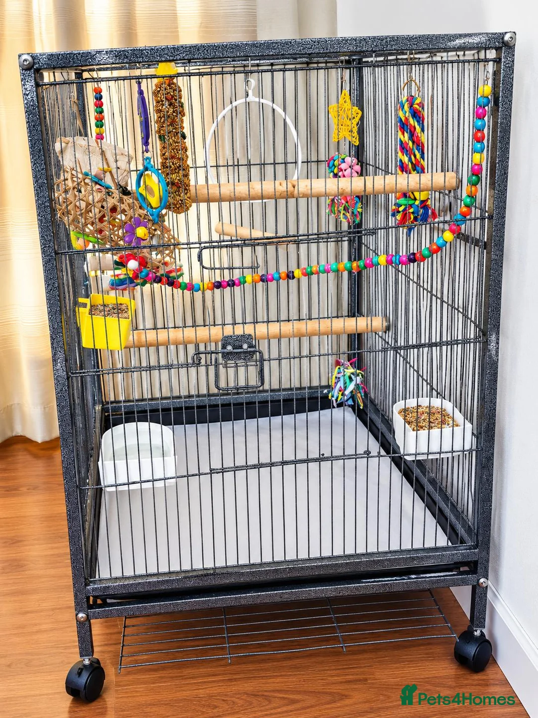 Budgerigars birds for sale: Budgie, cage and accessories for sale in Hartlepool - Advert 3