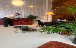 Dobermann dogs for sale: Sweet Doberman Girlie ❤️(price negotiable) - Image 10