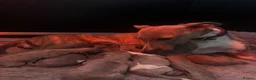 Whippet dogs for sale: 8 KC registered whippet pups - Advert 1