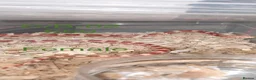 Corn Snake reptiles for sale: Baby corn snakes  - Advert 9