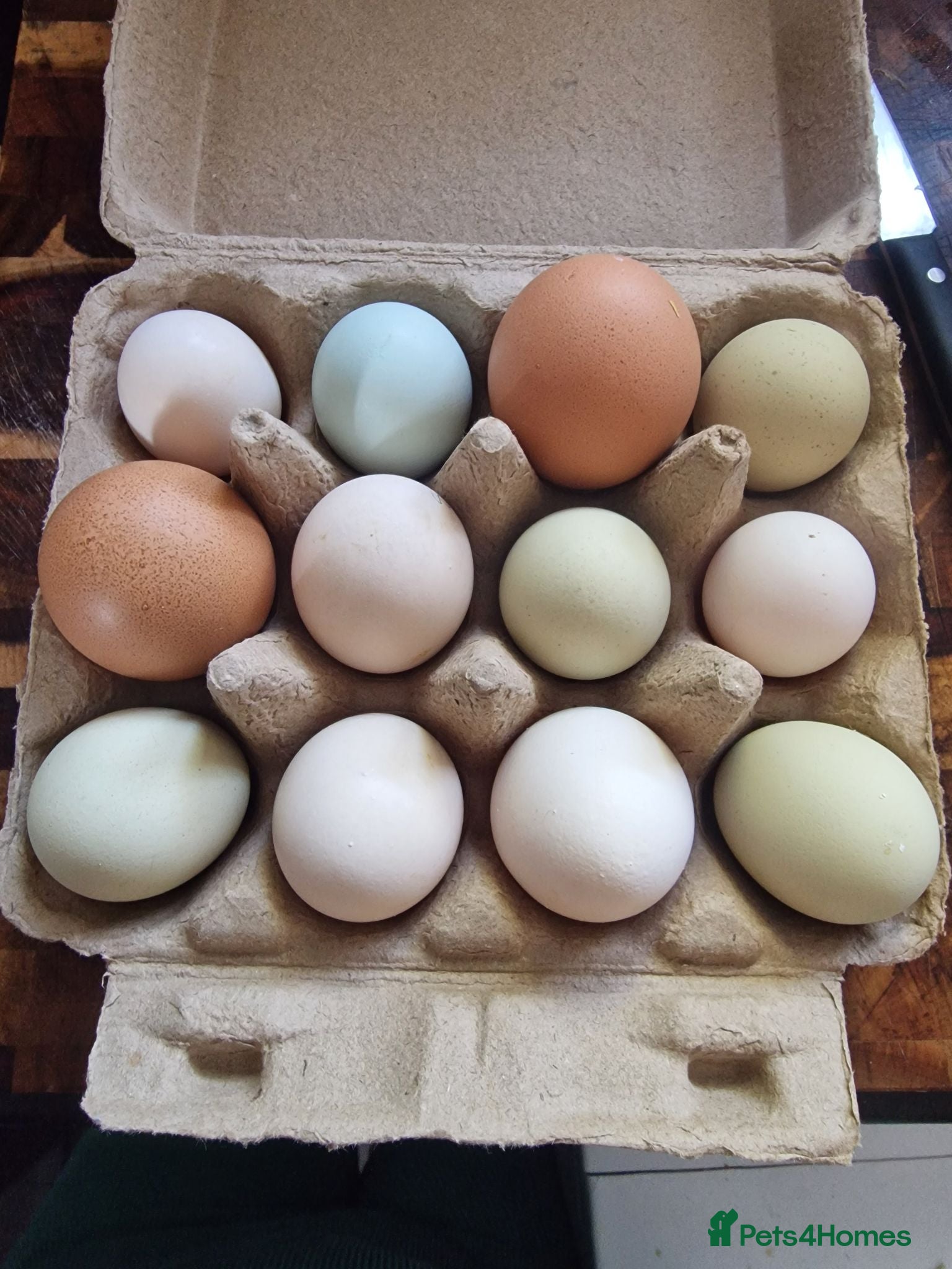 Mixed Breed poultry Mixed breed hatching eggs - Advert 16