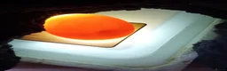 Ducks poultry for sale: 6 fertilized pekin duck eggs for sale in South Ockendon - Advert 5