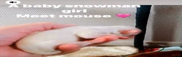 Pomchi dogs for sale: Pomchi girls and boys  - Advert 6