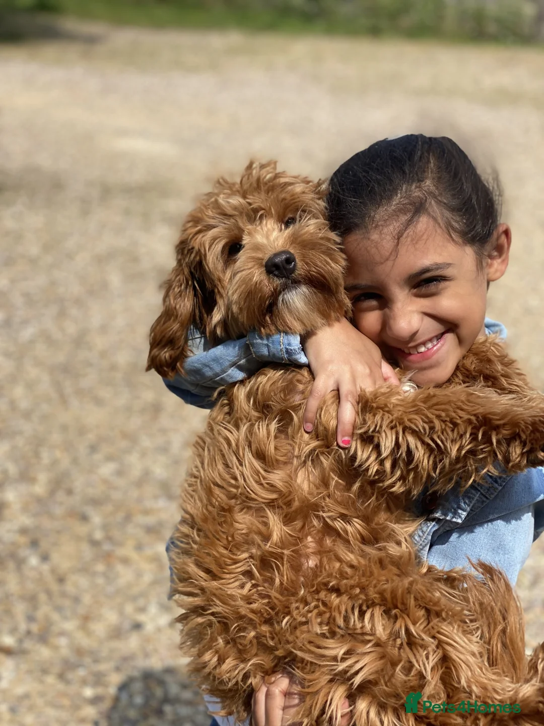 Gallery Image {{count}}