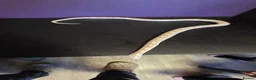 Corn Snake reptiles for sale: Cornsnakes normal lavender hypo fire tessera - Advert 5