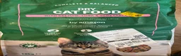Mixed Breed cats for sale: Male and Female Adult - Advert 10