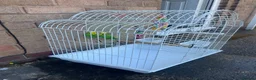 Budgerigars birds for sale: Selling Buggies  parrots with cage & Acessories. - Advert 2