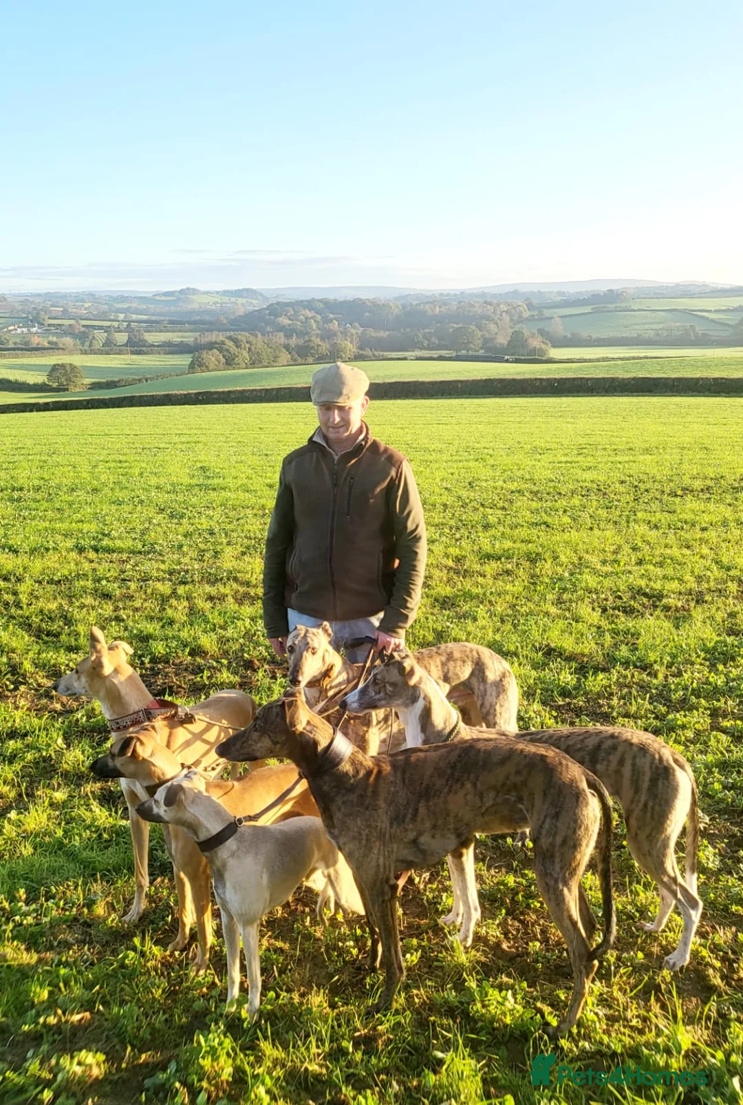 Gallery Image {{count}}