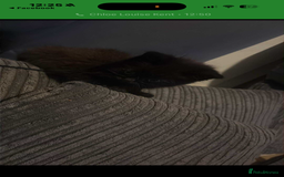 Ragdoll cats for sale: Half ragdoll kitten  - Image 2