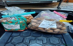 Macaws birds for sale: Blue & Gold Macaw For Sale - Image 18