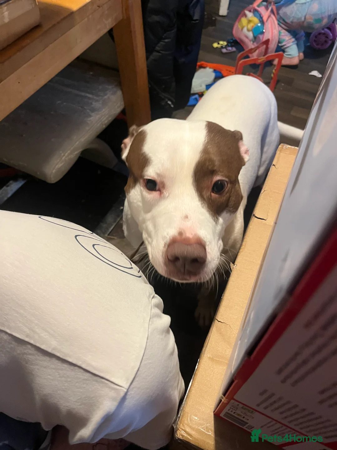 Gallery Image {{count}}