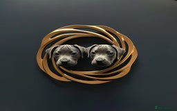 Staffordshire Bull Terrier dogs for sale: Blue Staffies For Sale - Image 2