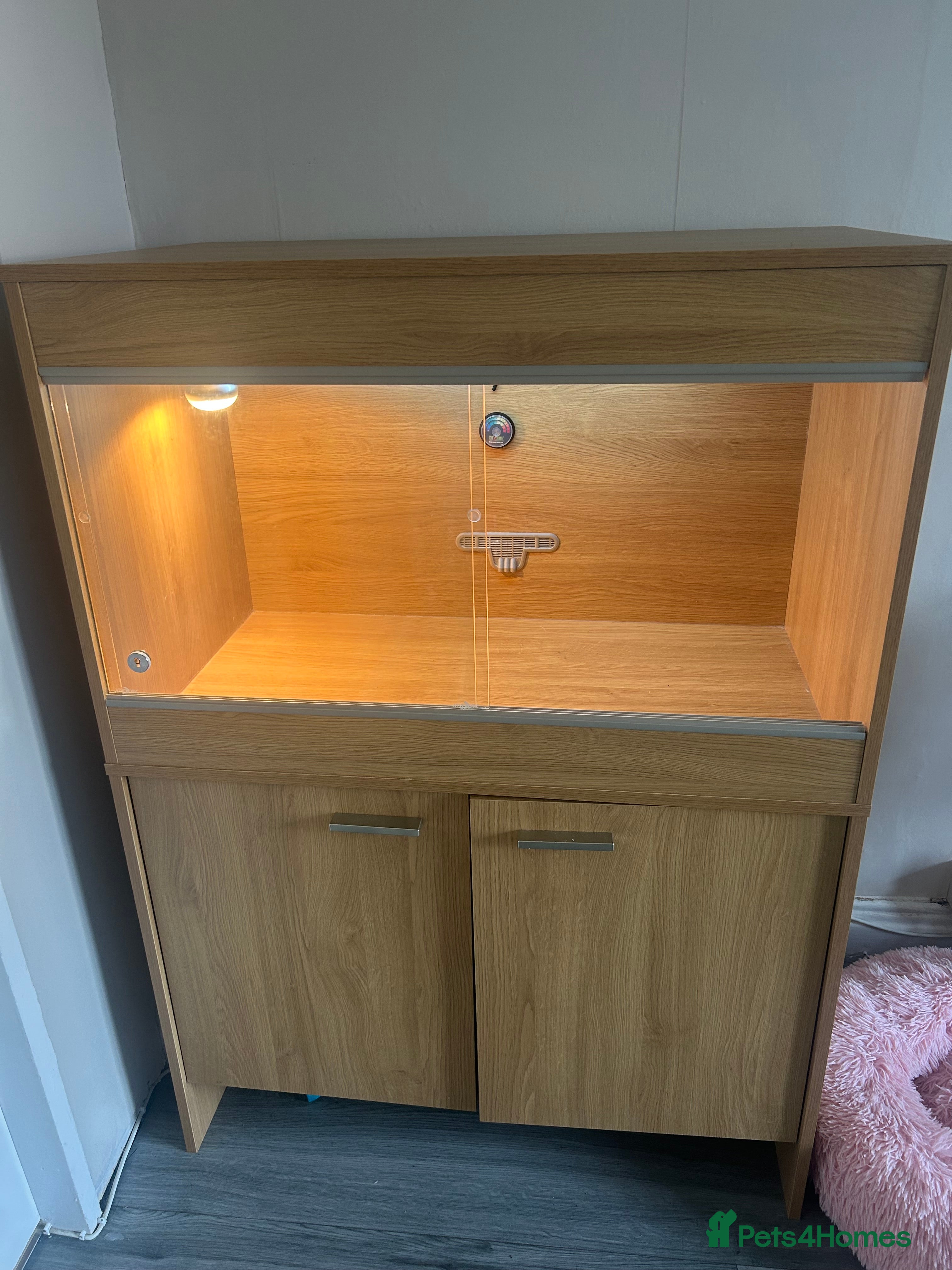 Leopard Gecko reptiles Leopard Gecko vivarium full set up - Advert 13