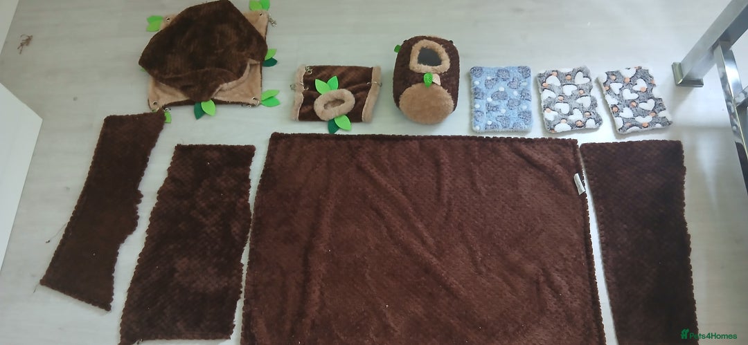Rat rodents for sale: 🐀 Two pet rats and cage (with setup) 🐀  - Image 5