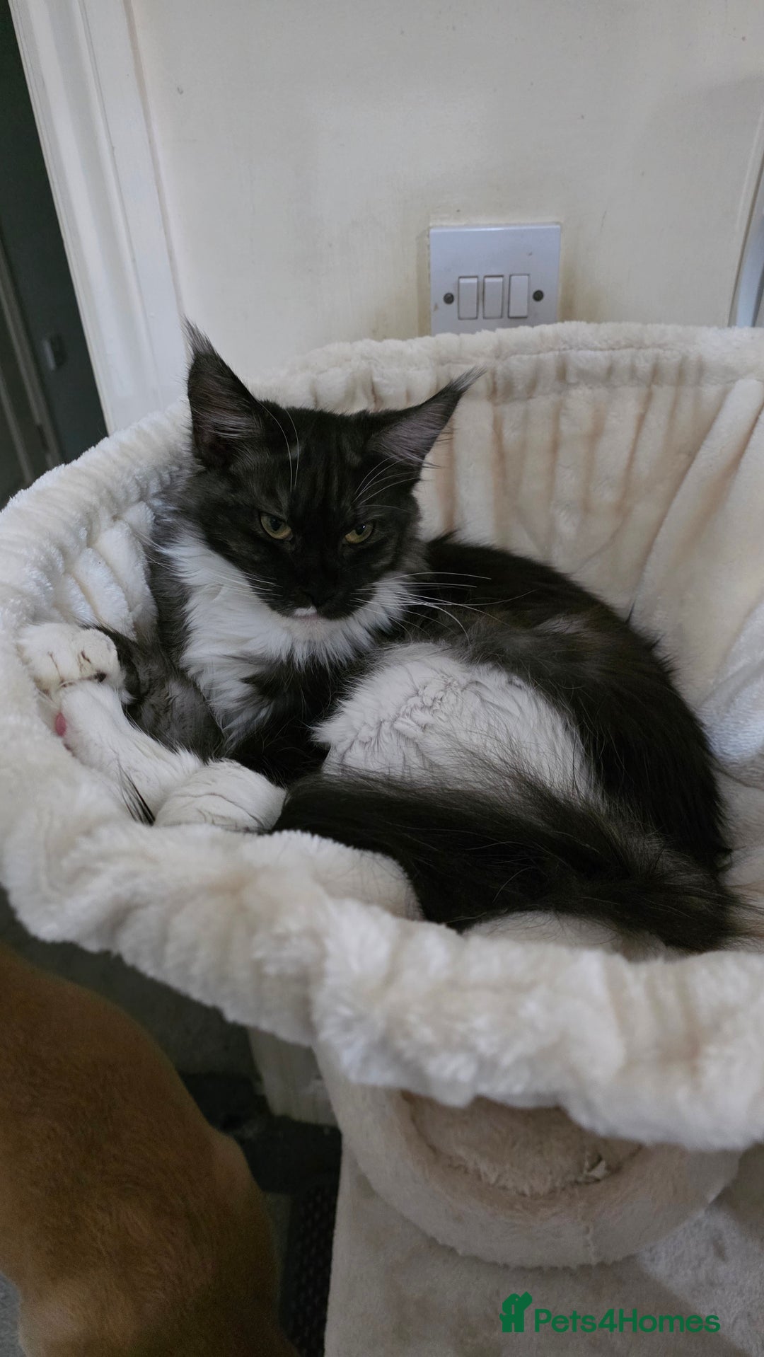 Gallery Image {{count}}