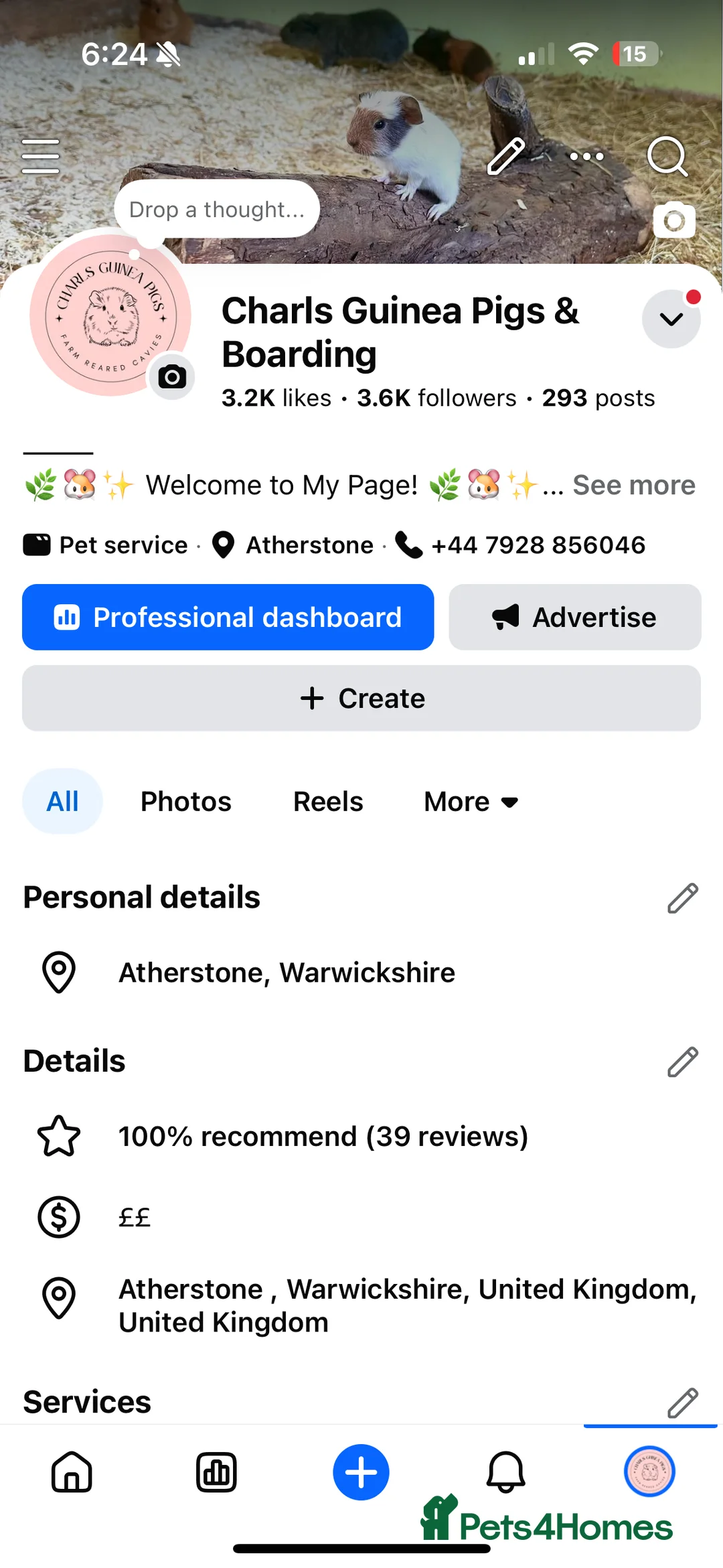 Guinea Pig rodents for sale: Multiple Baby Boy Guinea Pigs for sale  - Advert 8