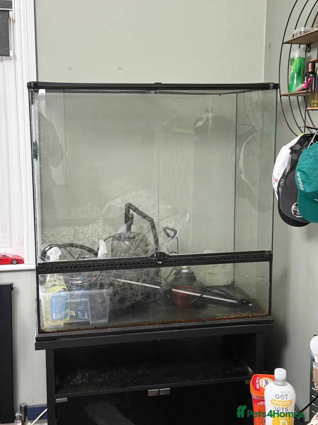 Chameleon reptiles for sale: LUXARY VIV FOR SALE - Advert 5