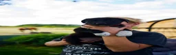 Mixed Breed dogs for sale: 2PUPSLEFT Beautiful FarmBred Shollie Puppies - Advert 9
